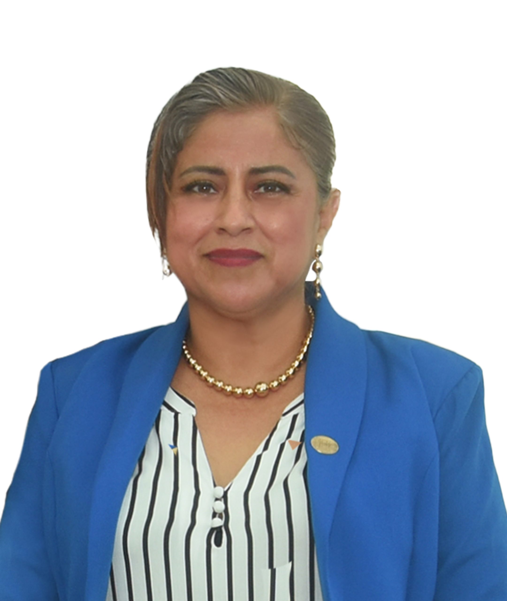 Ing. Chiriboga Minoni